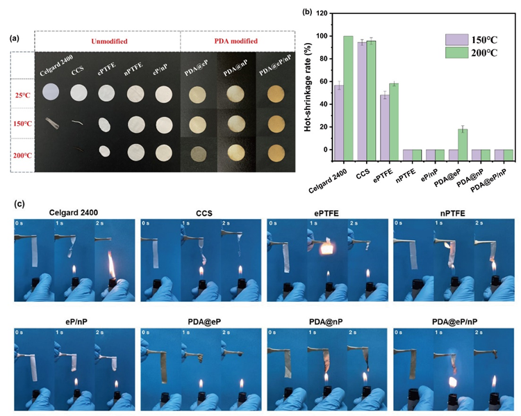 image (2).png image (2).png