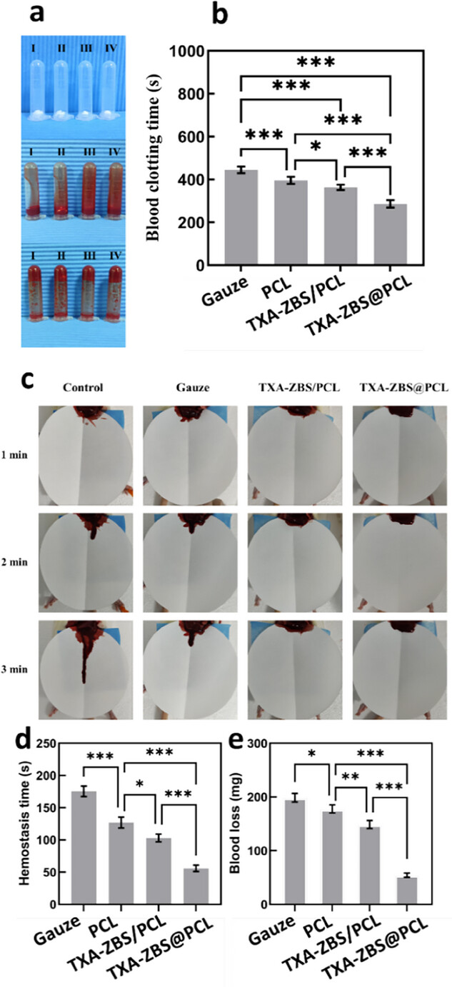 image (3).png image (3).png