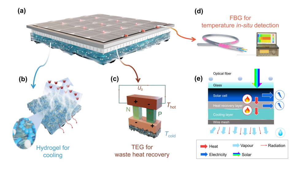 image (2).png image (2).png