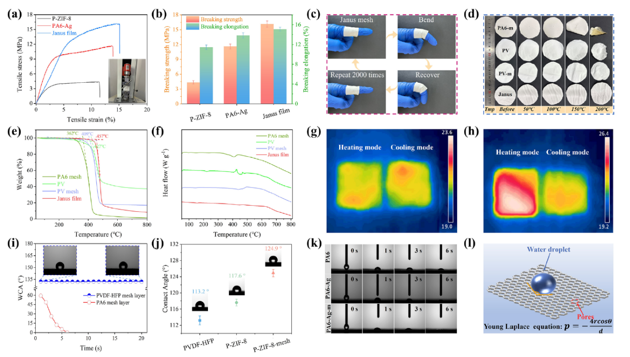 image (3).png image (3).png