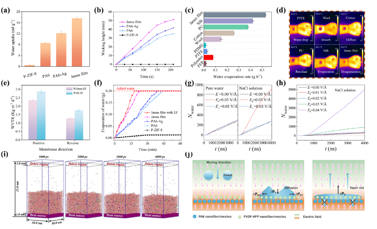 image (4).png image (4).png