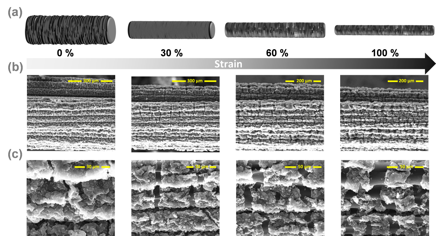 image (11).png image (11).png