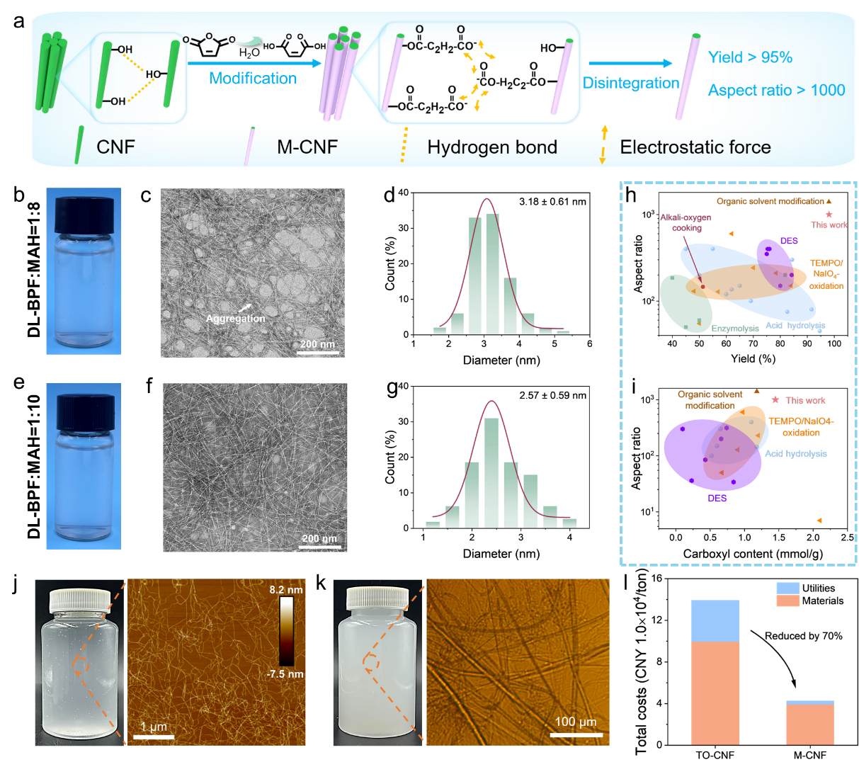 image (3).png image (3).png