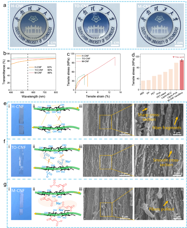 image (5).png image (5).png