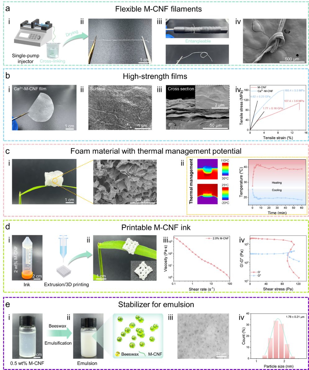 image (6).png image (6).png