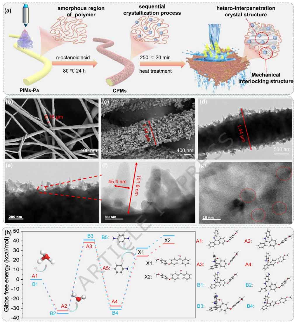 image-(3).jpg image-(3).jpg