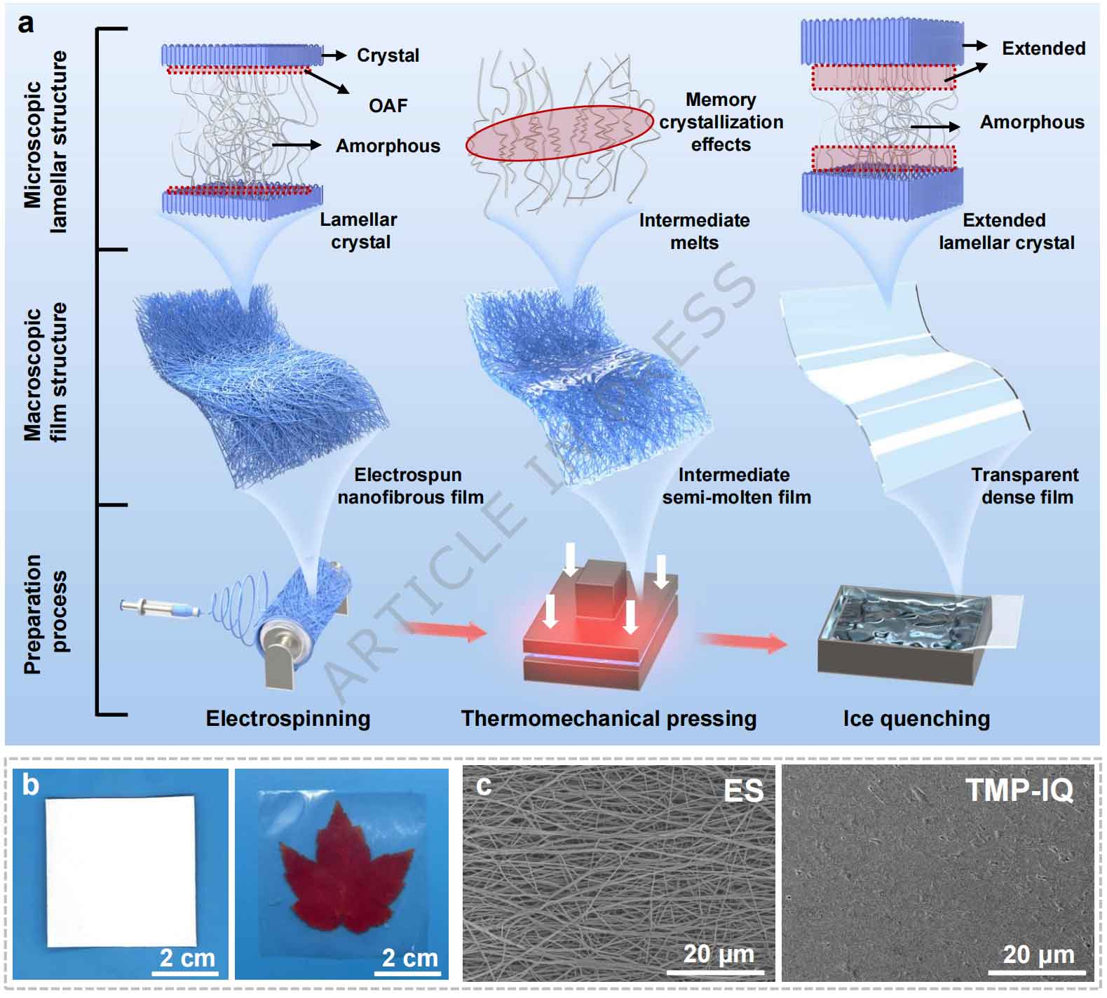 image-(7).jpg image-(7).jpg