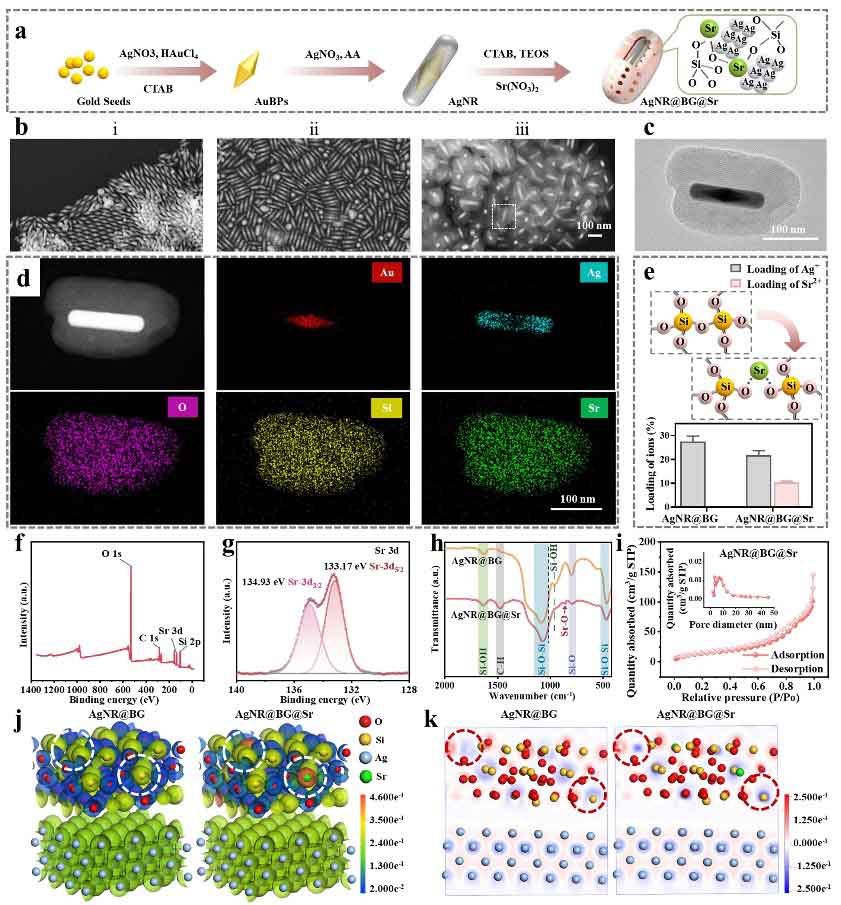 image-(1).jpg image-(1).jpg