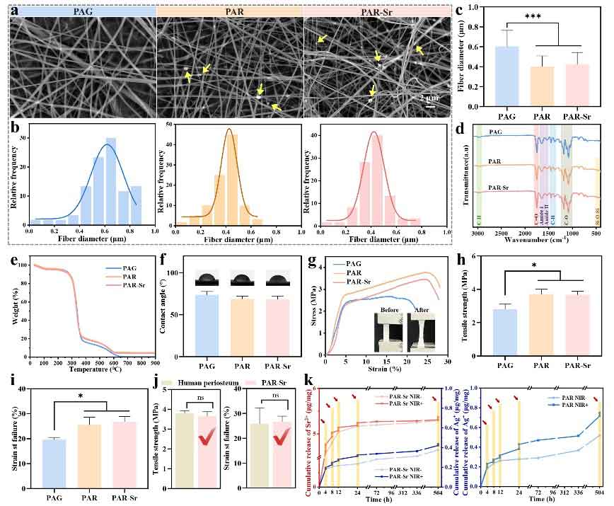 image-(2).jpg image-(2).jpg