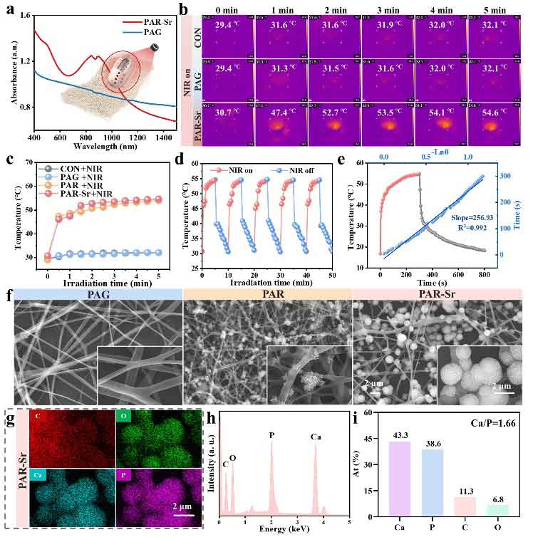 image-(3).jpg image-(3).jpg