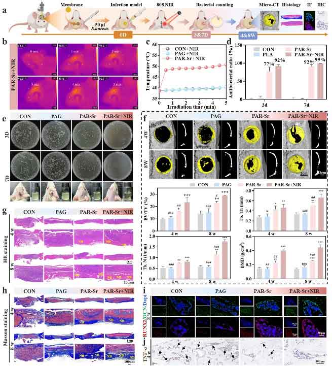 image-(7).jpg image-(7).jpg