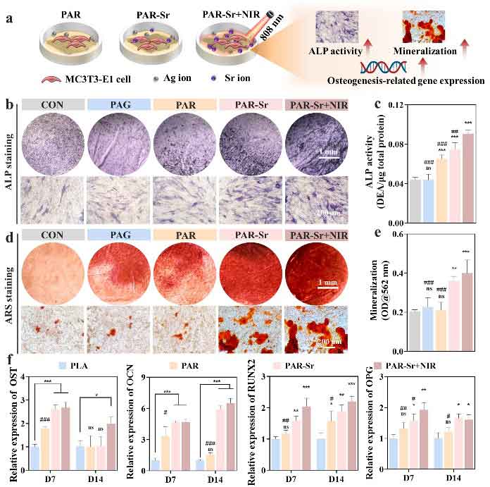image-(6).jpg image-(6).jpg