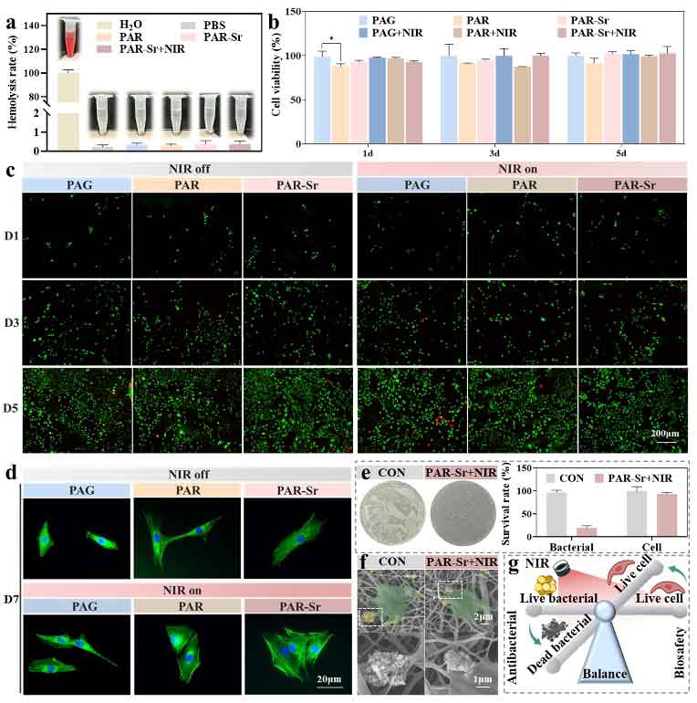 image-(5).jpg image-(5).jpg