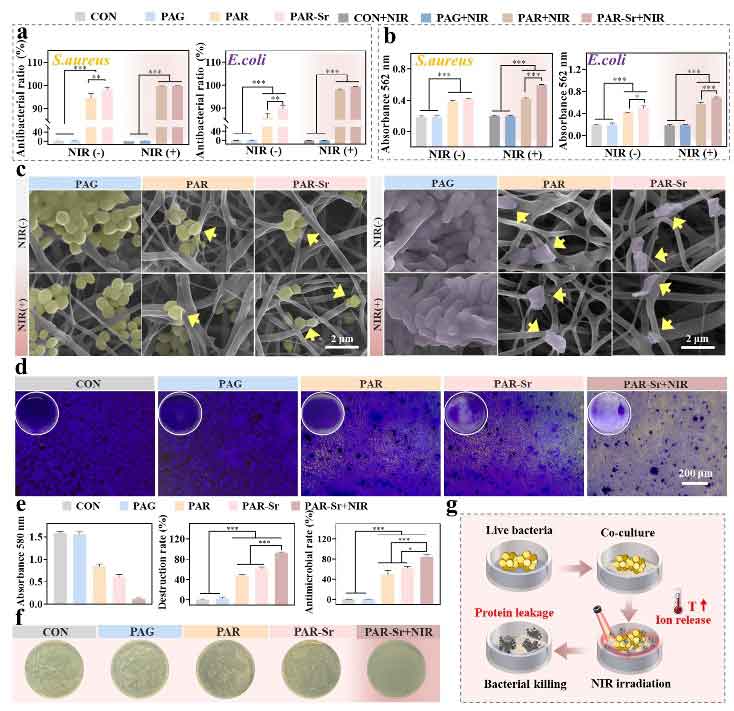 image-(4).jpg image-(4).jpg