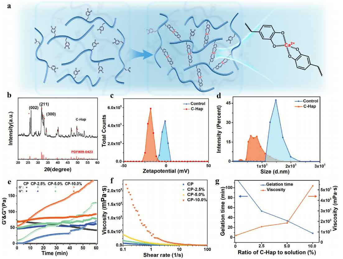 image-(3).jpg image-(3).jpg