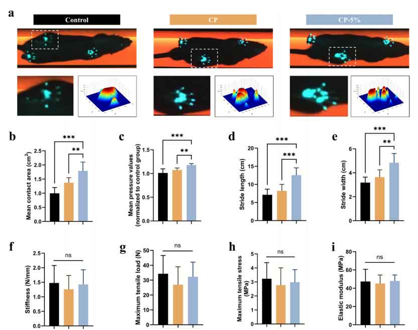 image-(9).jpg image-(9).jpg