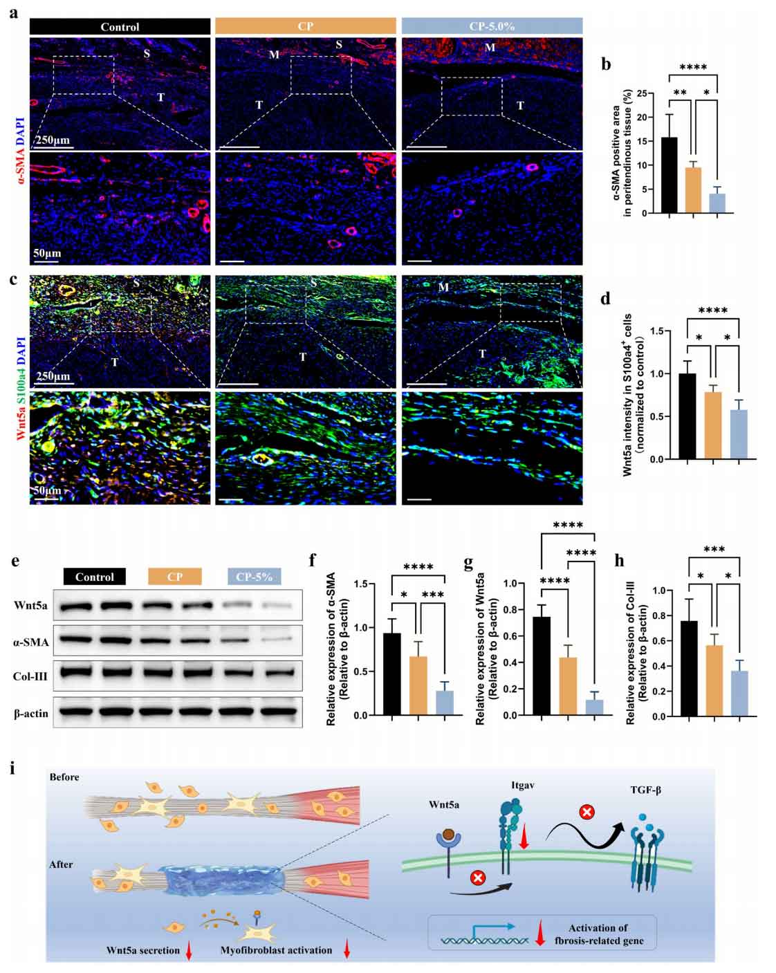 image-(8).jpg image-(8).jpg