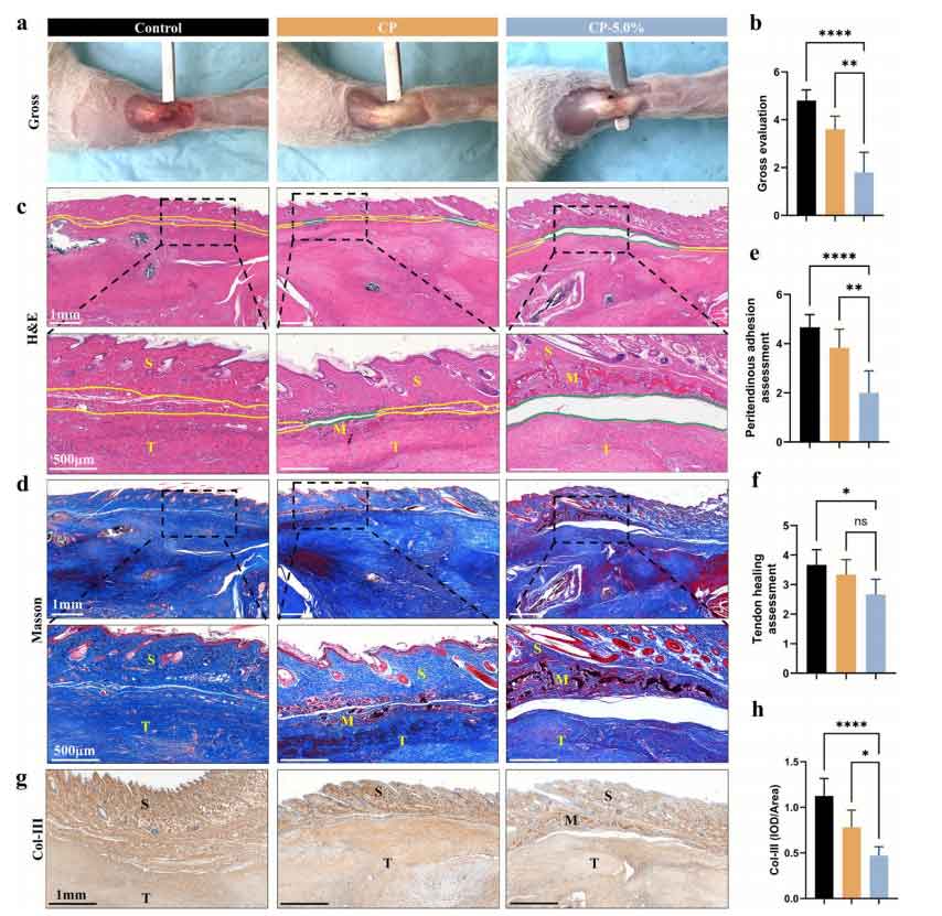 image-(7).jpg image-(7).jpg