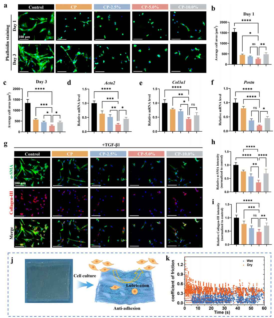 image-(6).jpg image-(6).jpg