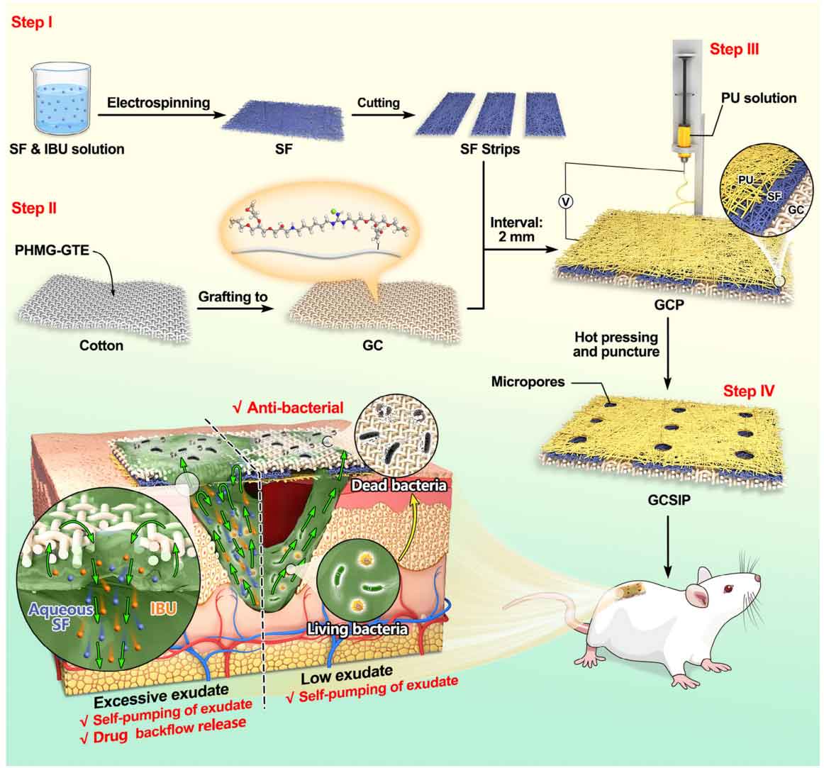 image-(1).jpg image-(1).jpg