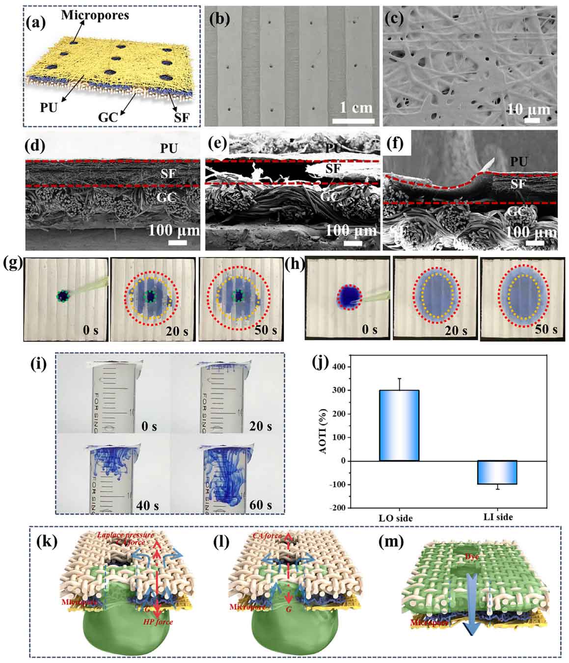 image-(6).jpg image-(6).jpg