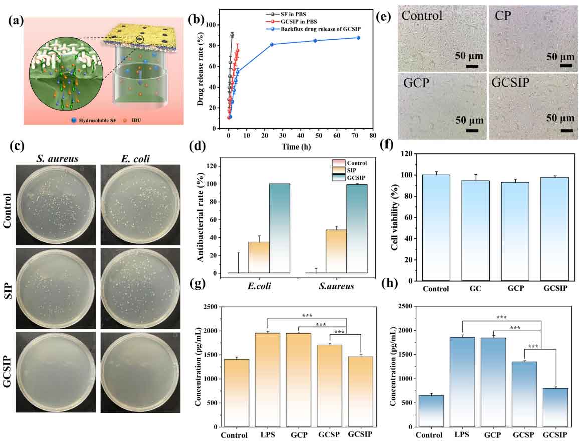 image-(7).jpg image-(7).jpg