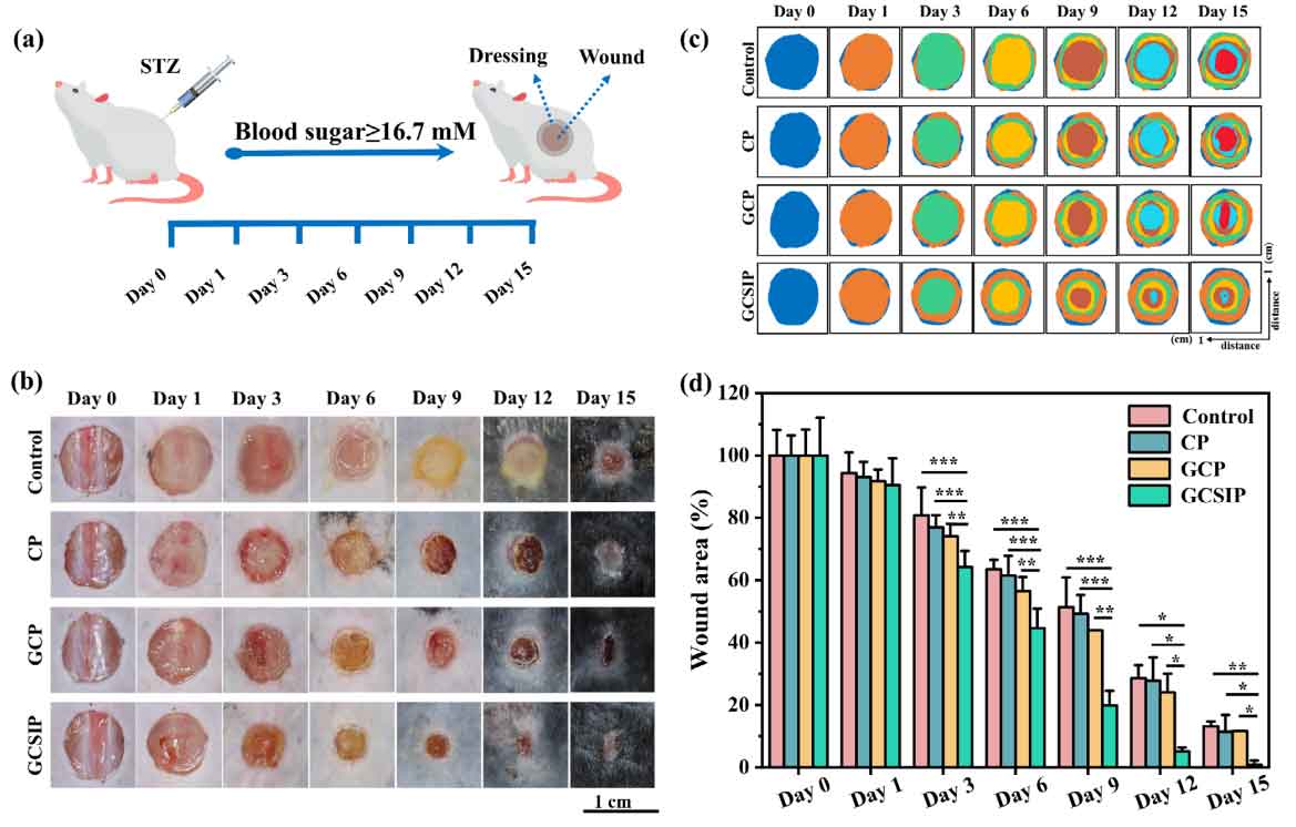 image-(8).jpg image-(8).jpg