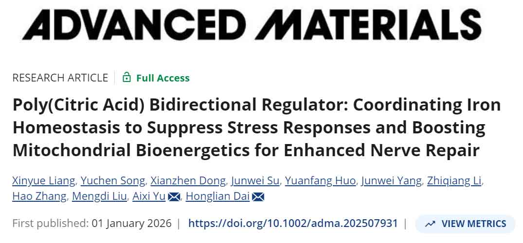 image-(2).jpg image-(2).jpg