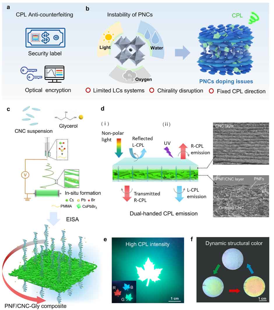 image-(5).jpg image-(5).jpg