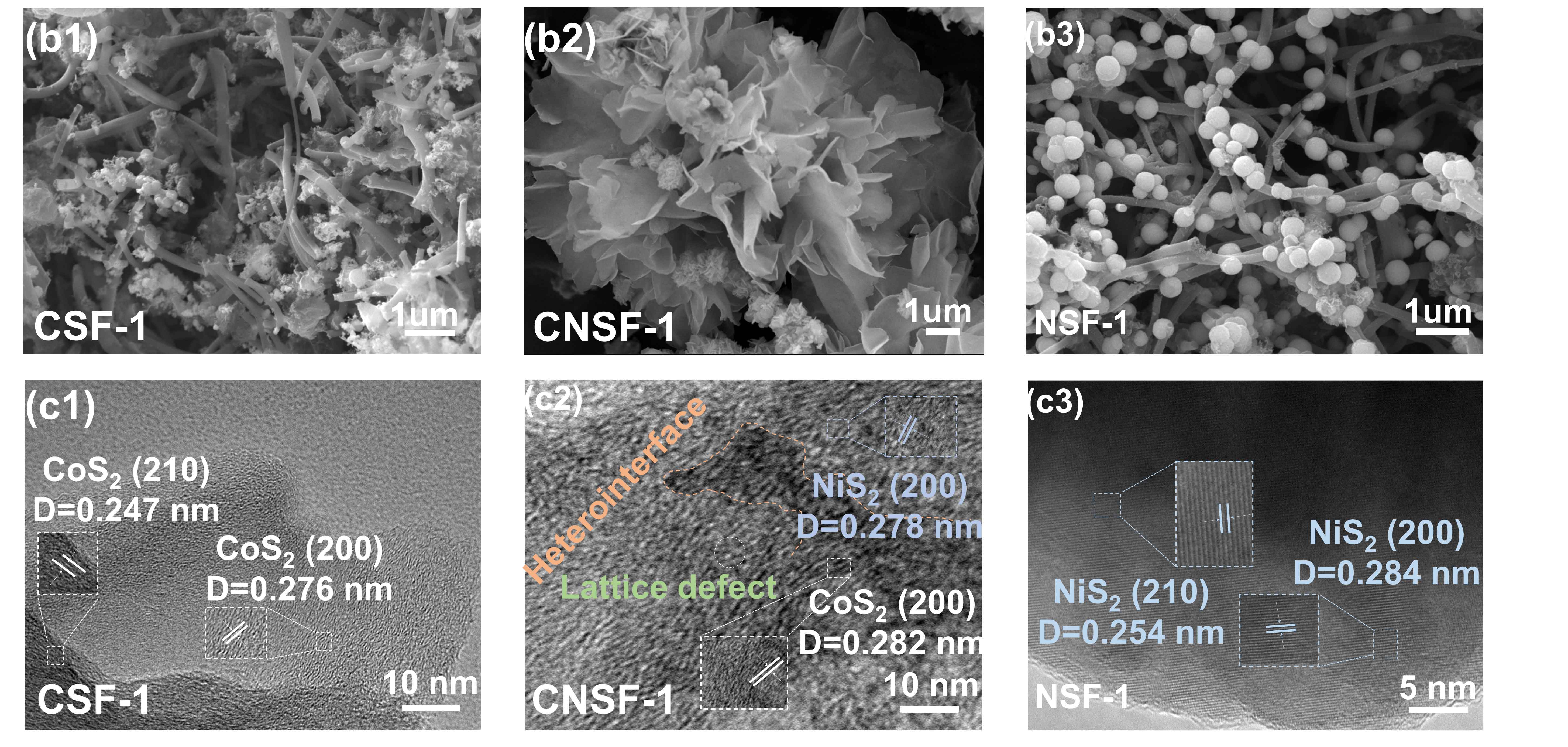 image-(2).jpg image-(2).jpg