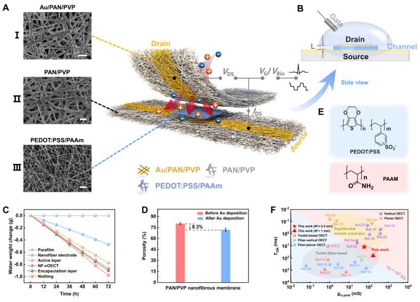 image-(1).jpg image-(1).jpg