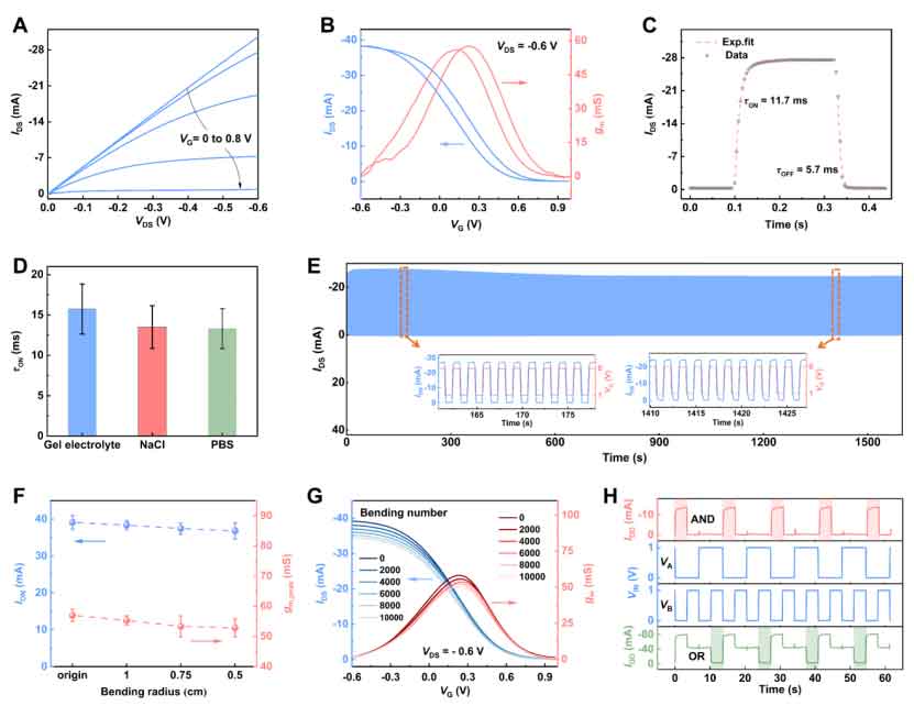 image-(2).jpg image-(2).jpg