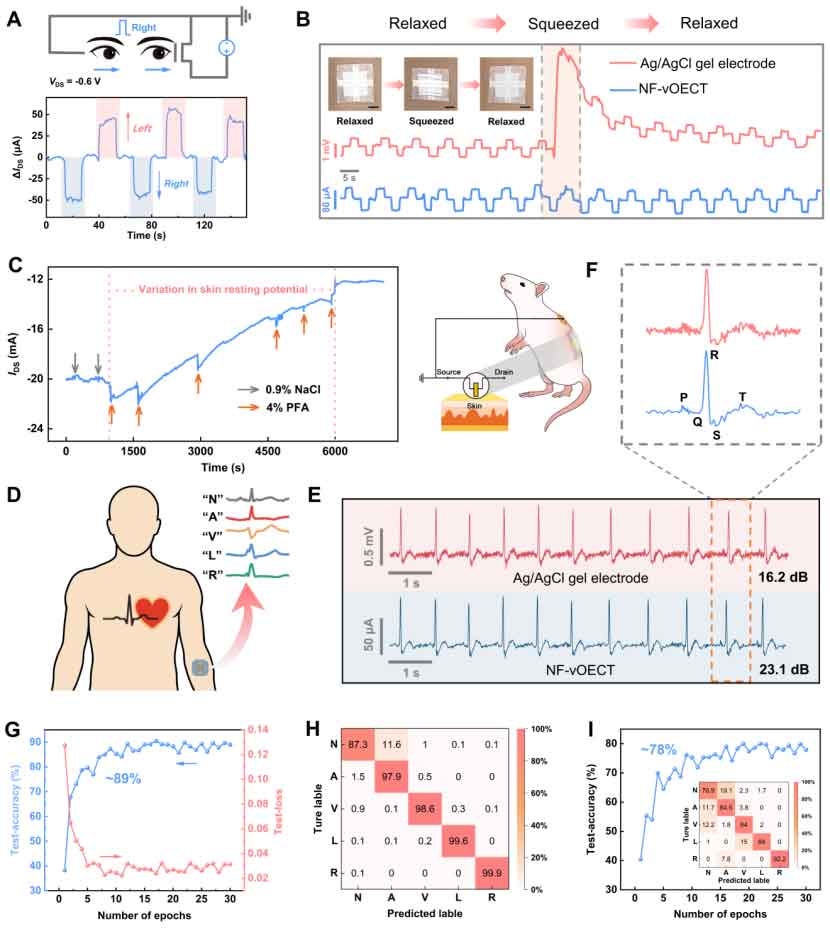 image-(4).jpg image-(4).jpg