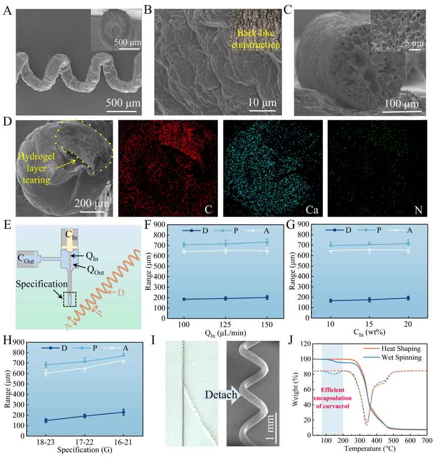 image-(1).jpg image-(1).jpg