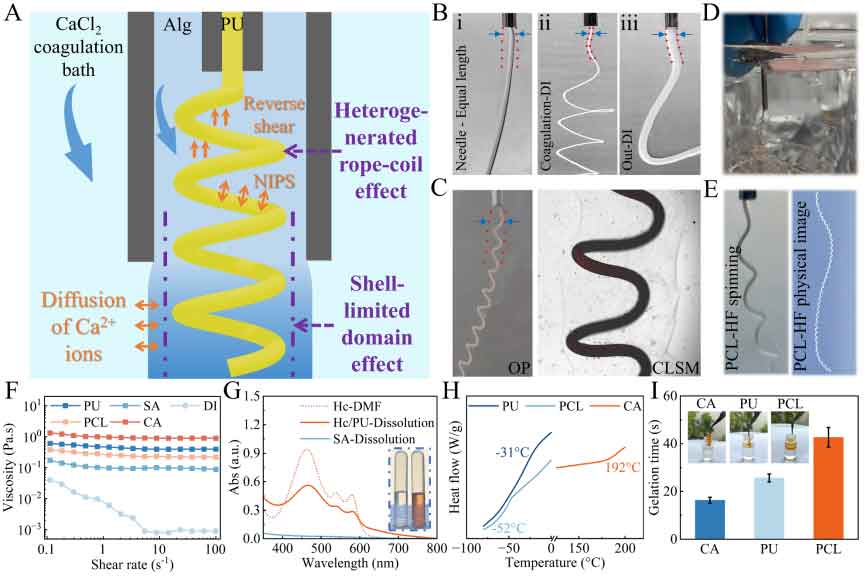 image-(2).jpg image-(2).jpg