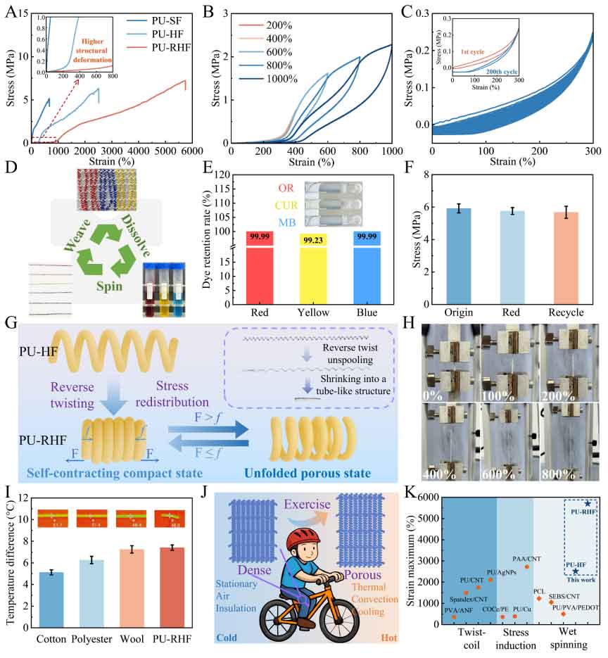 image-(3).jpg image-(3).jpg