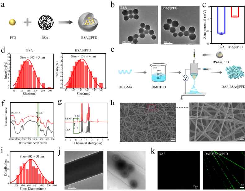 image-(2).jpg image-(2).jpg