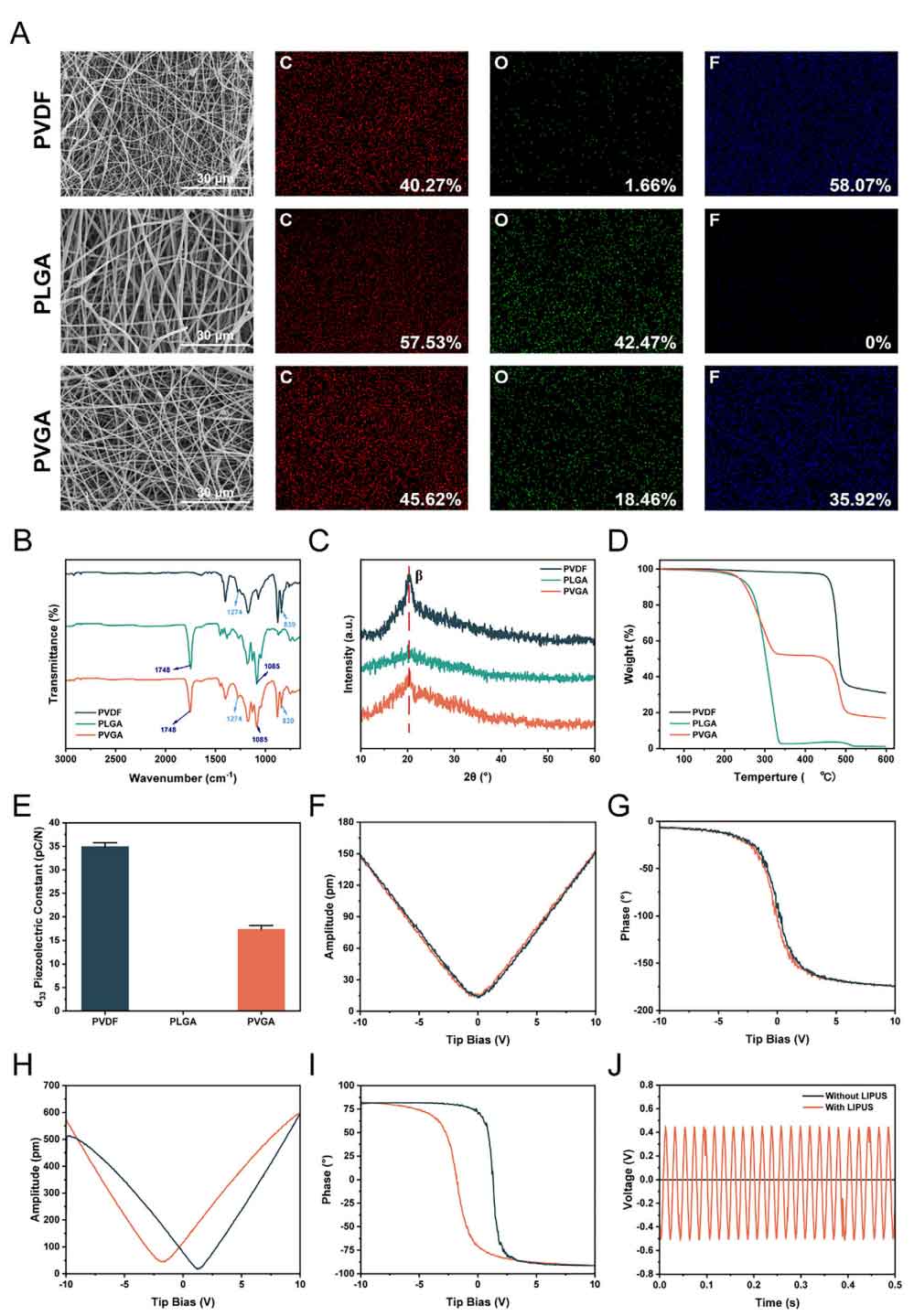 image-(2).jpg image-(2).jpg