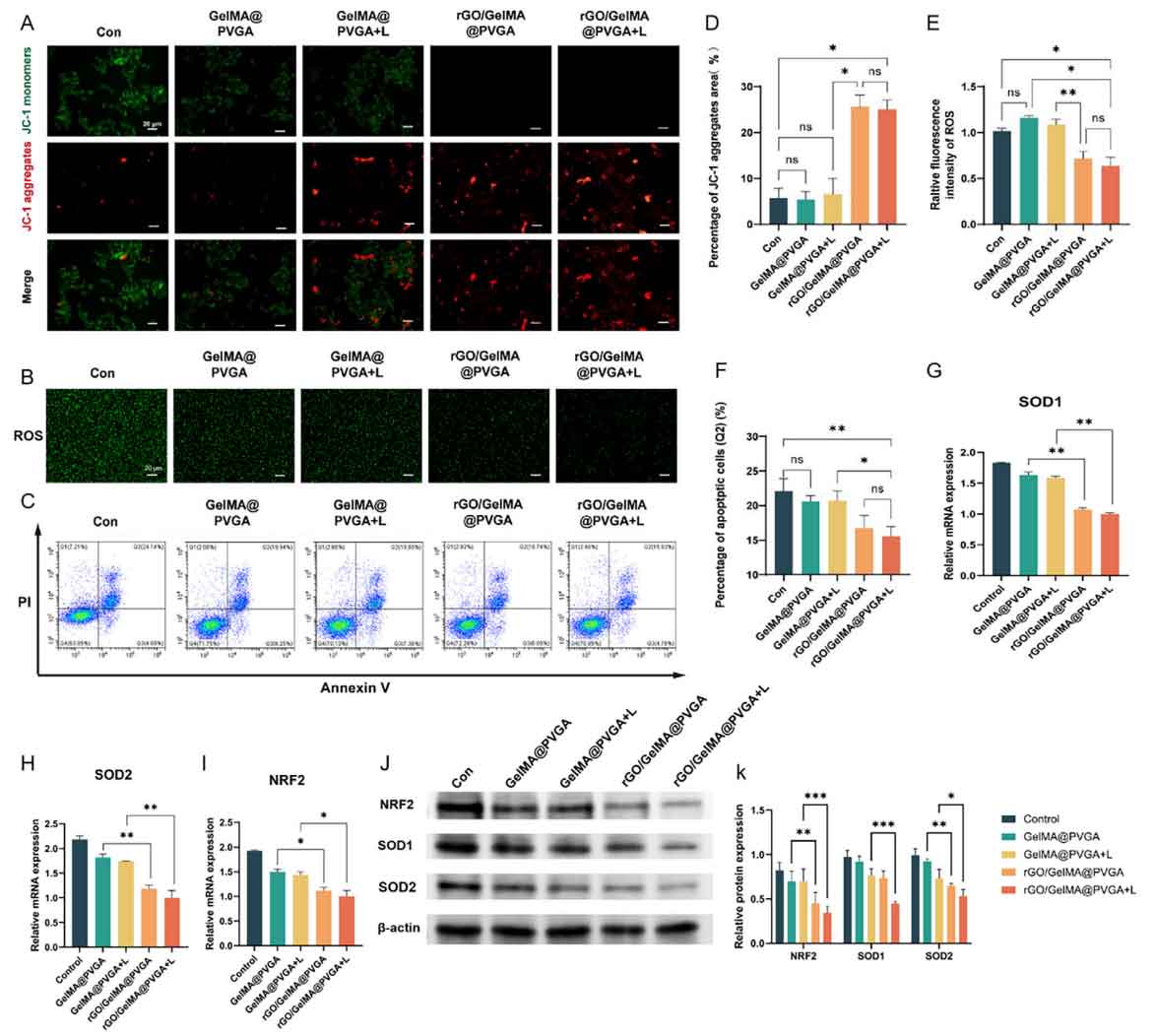 image-(5).jpg image-(5).jpg