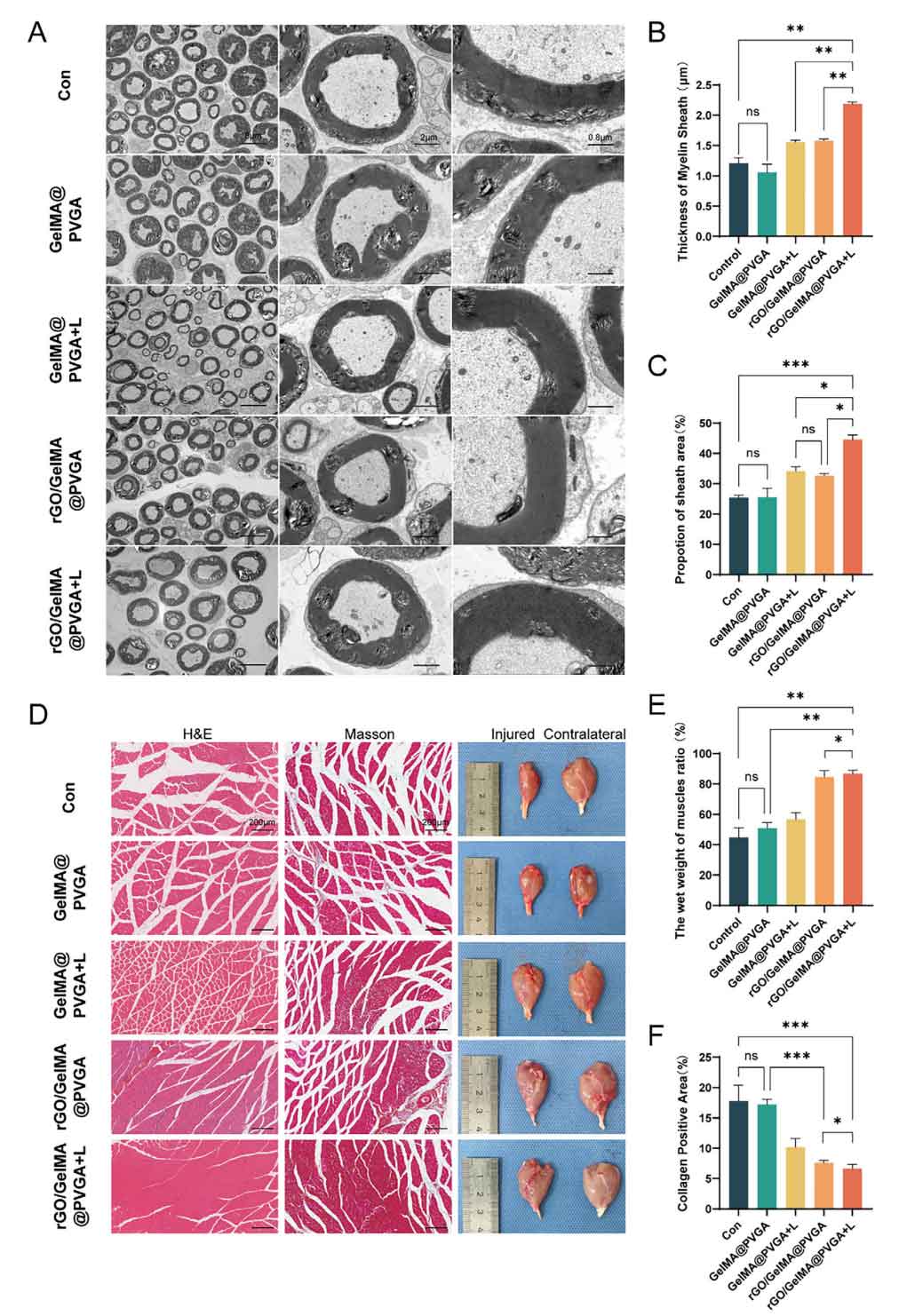 image-(7).jpg image-(7).jpg