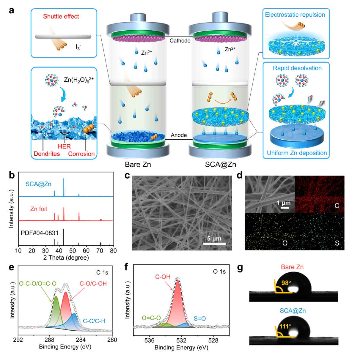 image-(1).jpg image-(1).jpg