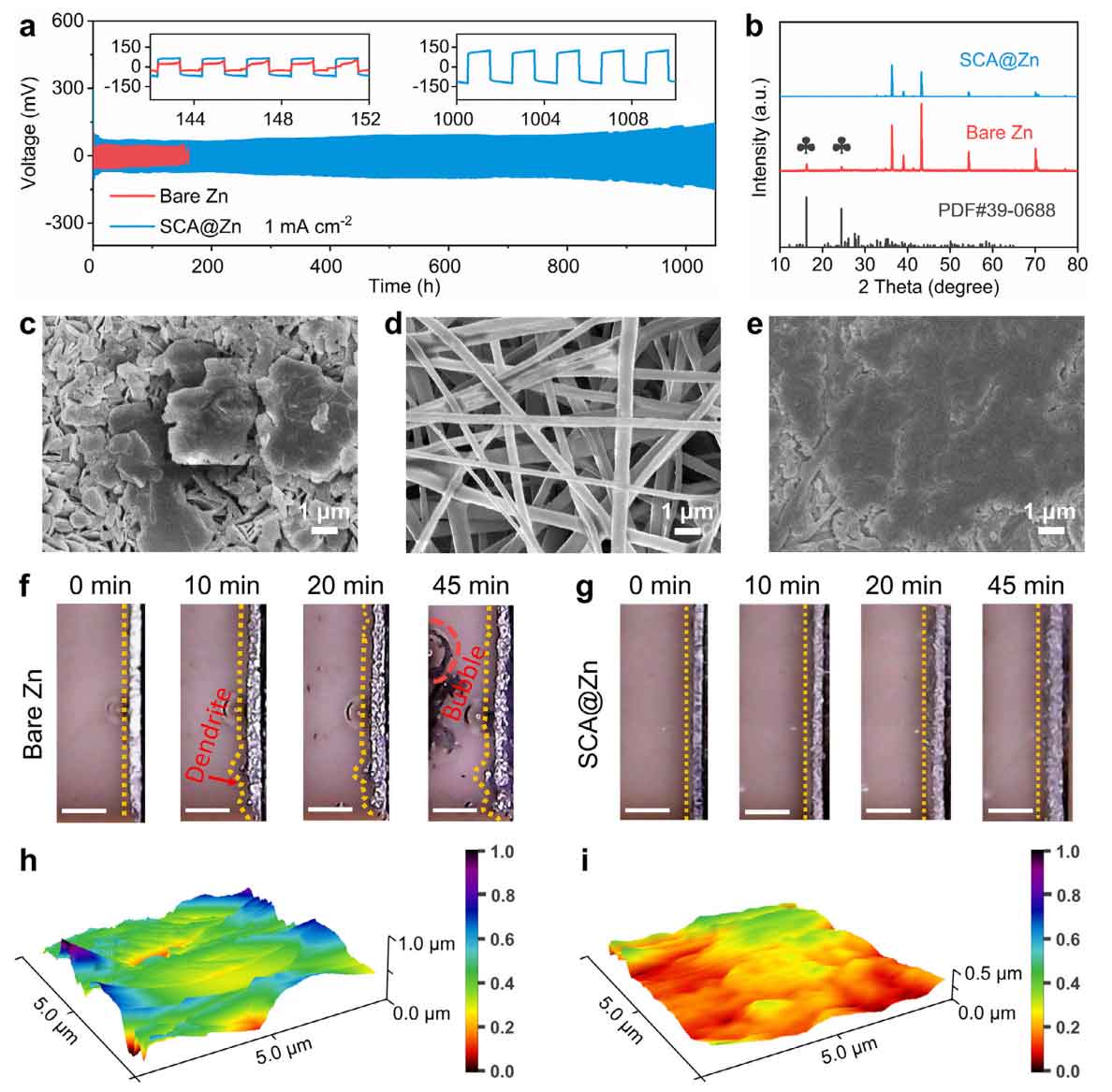 image-(2).jpg image-(2).jpg
