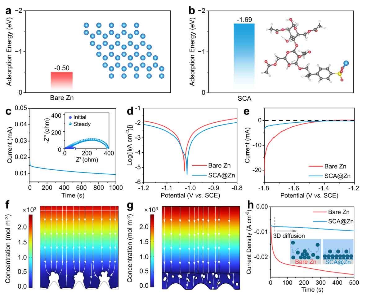 image-(4).jpg image-(4).jpg