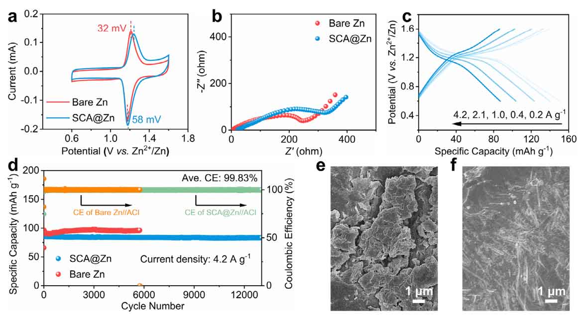 image-(5).jpg image-(5).jpg