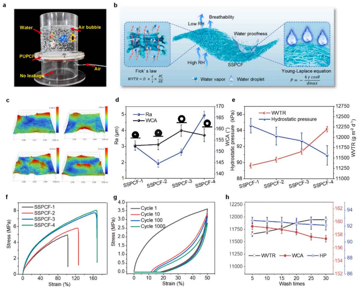 image-(3).jpg image-(3).jpg
