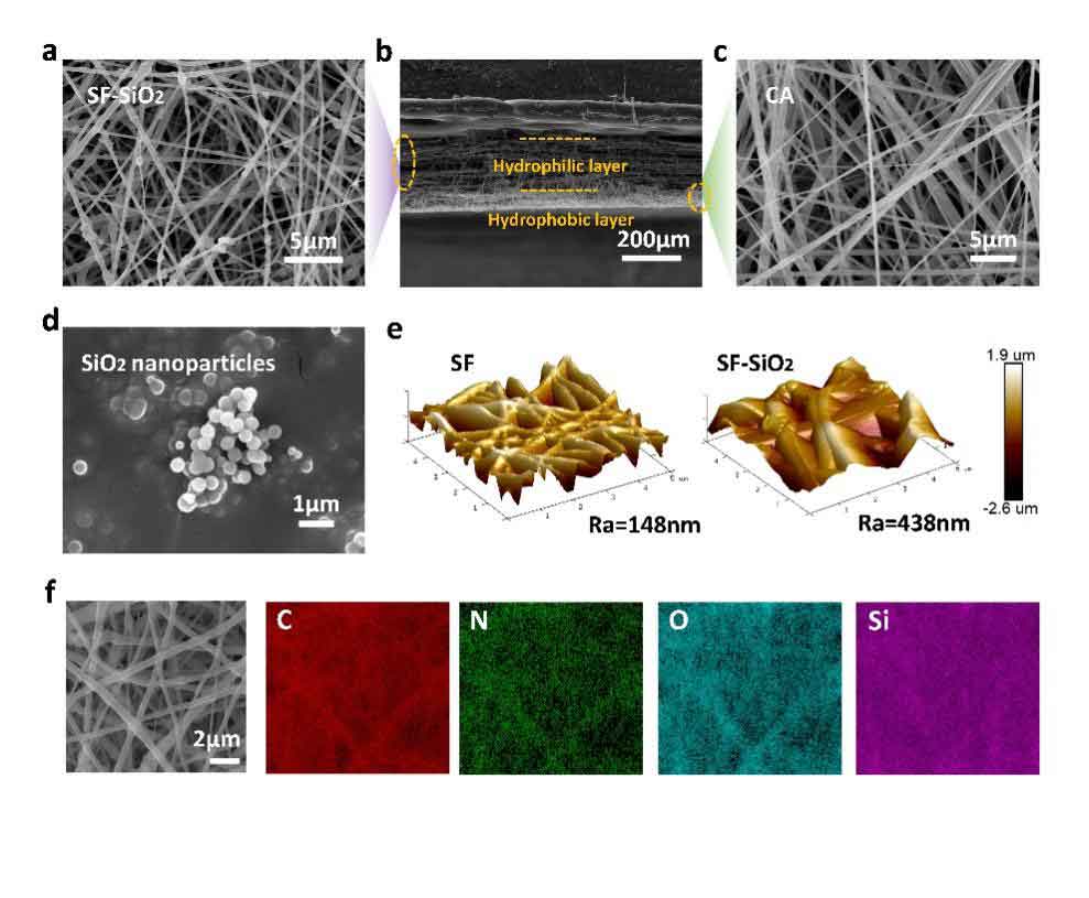 image-(1).jpg image-(1).jpg