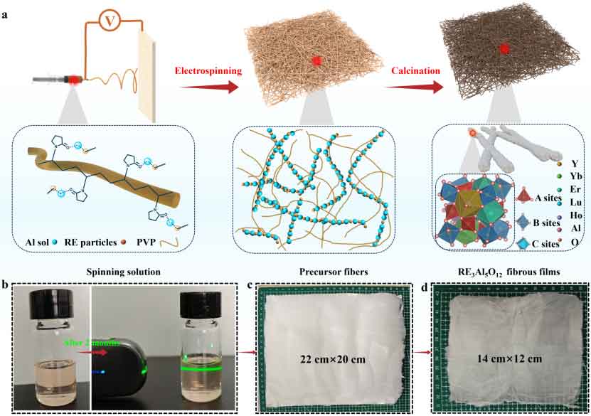 image-(1).jpg image-(1).jpg