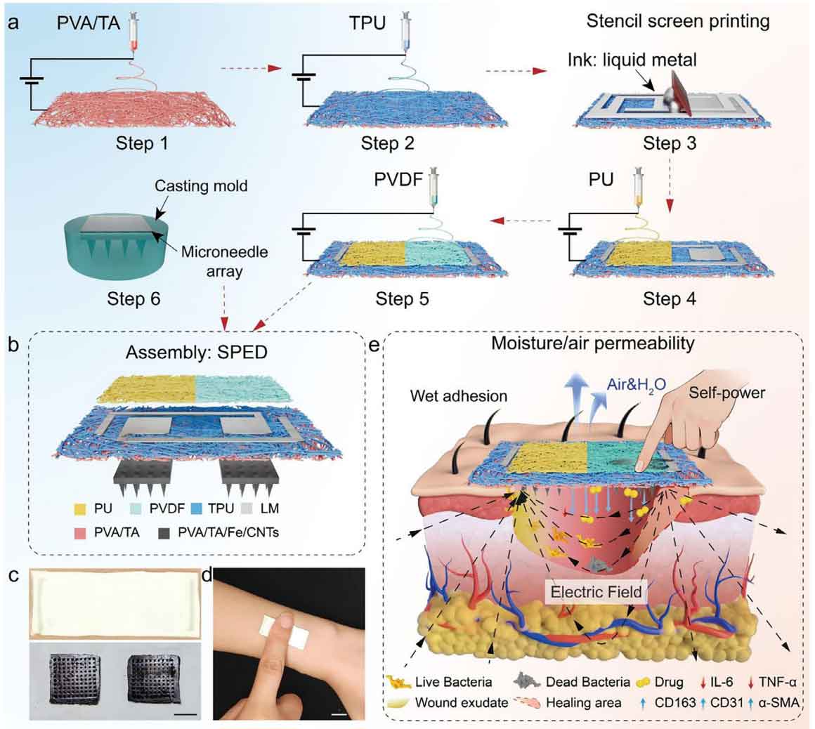 image-(2).jpg image-(2).jpg