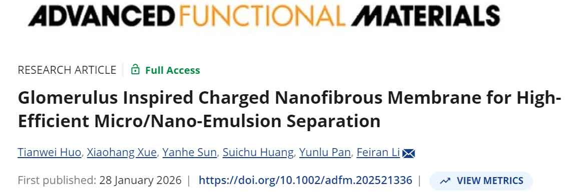 image-(5).jpg image-(5).jpg