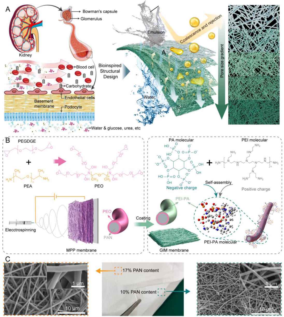 image-(6).jpg image-(6).jpg